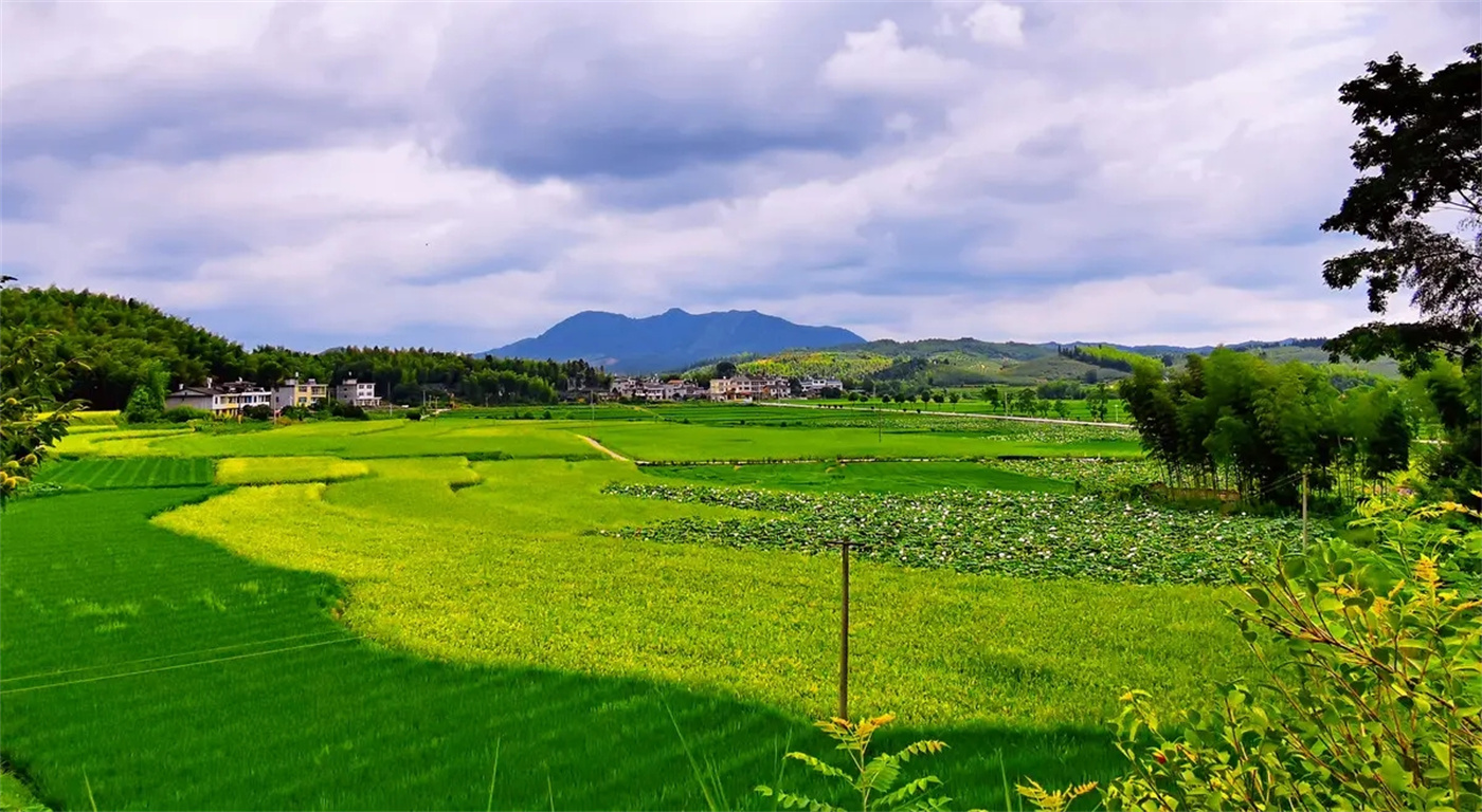 「永和集團」助力平橋土整 添彩美麗鄉村